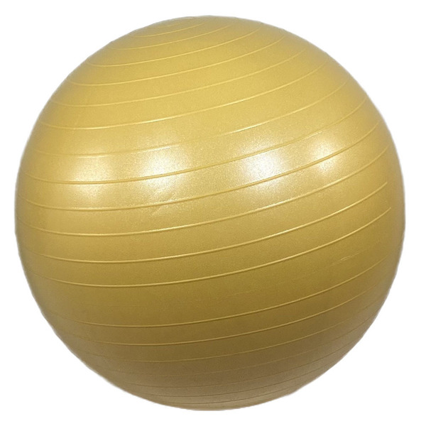 バランスボール 椅子 65cm ヨガボール フィットネス