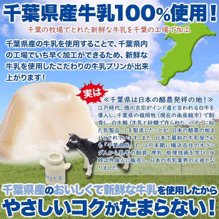牛乳プリンさん専用 ベルちゃんプリン 70g×3 | 洋生菓子 | 製品詳細 | やまぐち県酪乳業