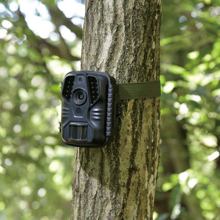 電池式トレイルカメラ100万画素 OSE-PM10 オーム電機 : ウエノ電器