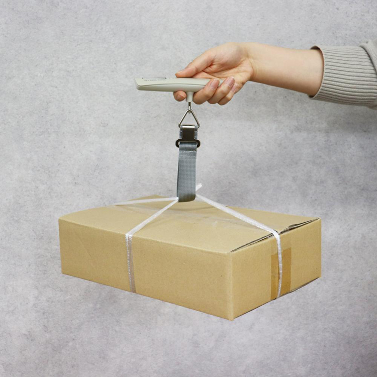 計量器飛行機空港旅行荷物はかり風袋引袋スーツケース機内持ち込みキャリーケースドリテック荷物はかりラゲッジスケールドリテック 