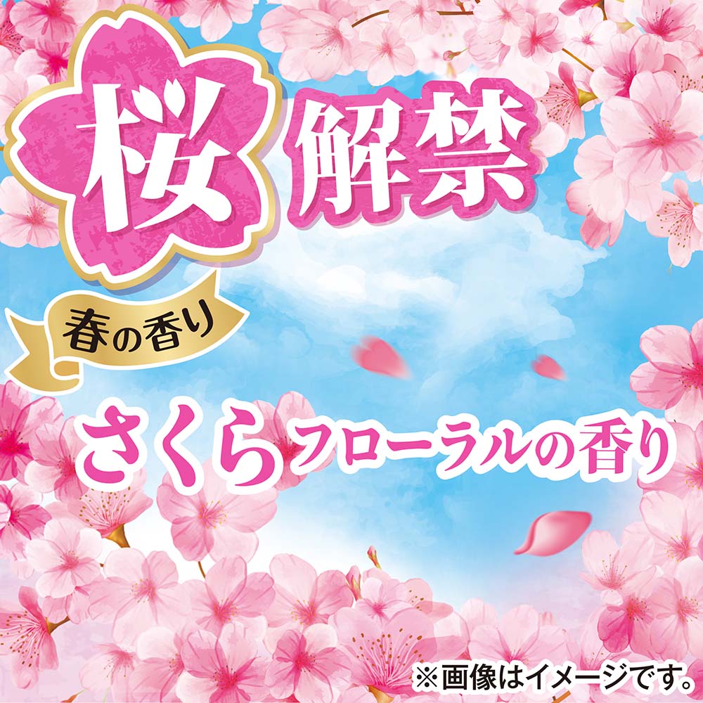 ボールド 洗濯洗剤 洗濯 洗剤 洗濯用洗剤 衣料用洗剤 ジェル 抗菌 桜
