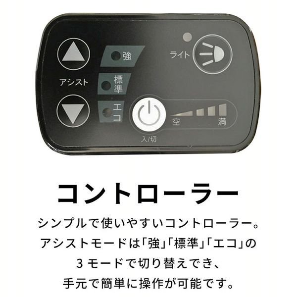 PELTECH(ペルテック) 電動自転車 27インチ 完成品 自転車 電動 電気 PELTECH(ペルテック) 電動自転車 27インチ 完成品 自転車 電動 電気