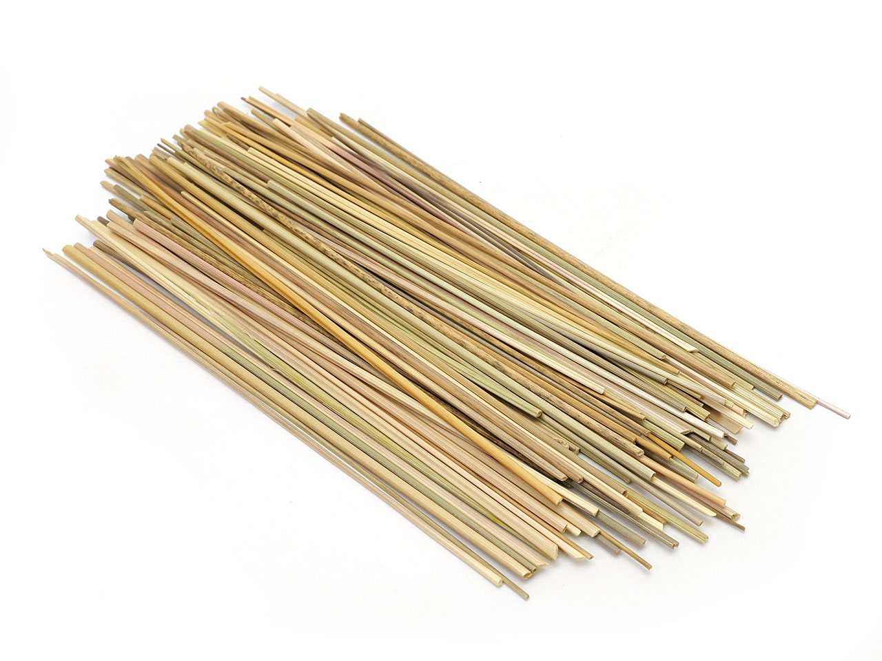 志賀傾斜展翅板：6号 Gen2 : インセクテック・ドット・コム - 通販