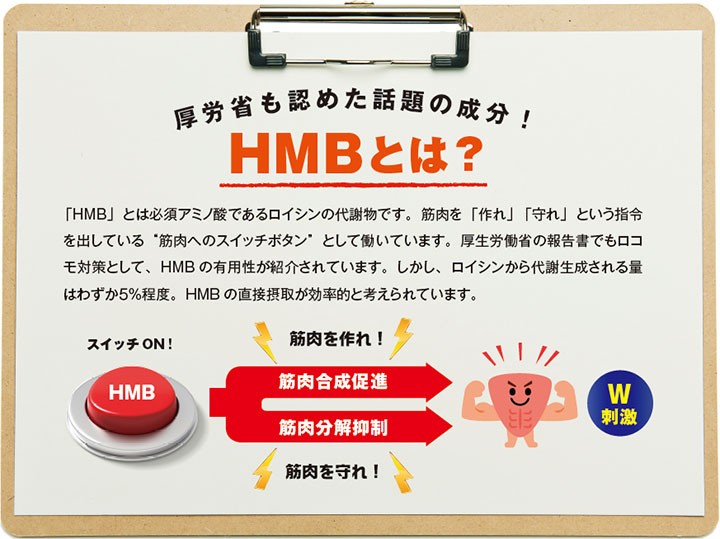 「HMB」とは必須アミノ酸であるロイシンの代謝物です。筋肉を「作れ」「守れ」という指令を出している“筋肉へのスイッチボタン”として働いています。厚生労働省の報告書でもロコモ対策として、HMBの有用性が紹介されています。しかし、ロイシンから代謝生成される量はわずか5%程度。HMBの直接摂取が効率的と考えられています。