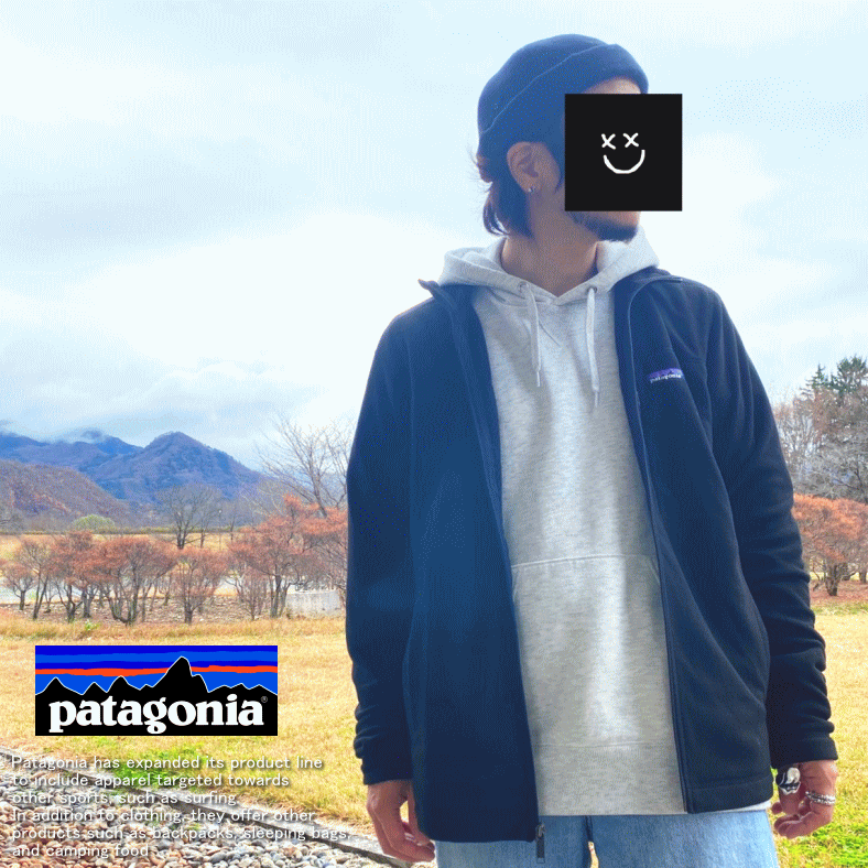 patagonia PATAGONIA パタゴニア Micro D Jacket フリース