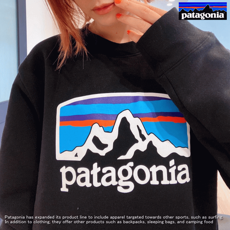 価格見直しました】 PATAGONIA パタゴニア Fitz Roy Horizons Uprisal