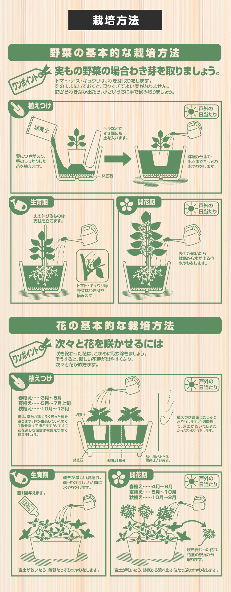鉢物栽培技術マニュアル 合計2冊☆鉢物栽培技術マニュアル 鉢物栽培技術マニュアル