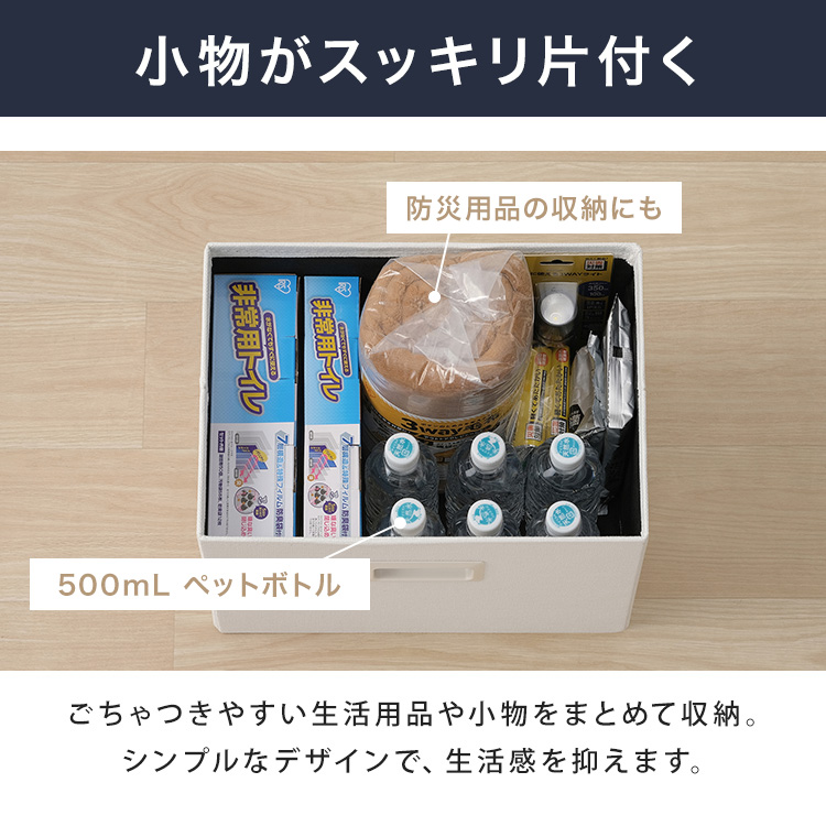 IRIS OHYAMA（アイリスオーヤマ） 収納ボックス 幅38cm 奥行き27cm