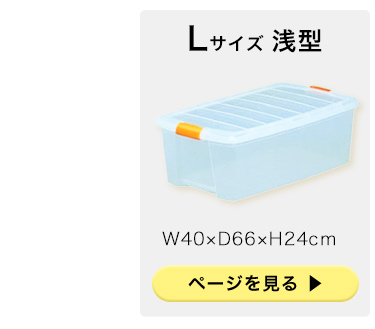 IRIS OHYAMA（アイリスオーヤマ） 収納ボックス 収納ケース 衣装ケース