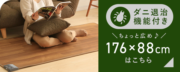 IRIS OHYAMA（アイリスオーヤマ） ホットカーペット 本体 45×110cm