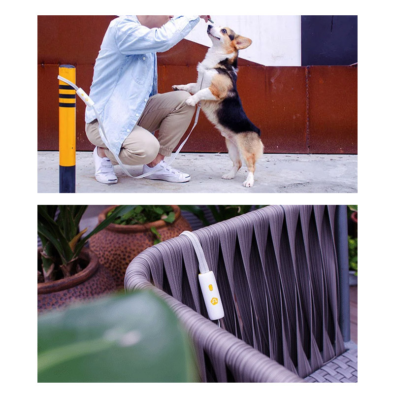 ペットリード 犬用 補助リード ストラップ あったら安心 多用途 ひったくり防止にも 簡単取り付け 伸縮リード 犬用 猫用 テープタイプ 小型犬 中型犬 ペット |  | 15