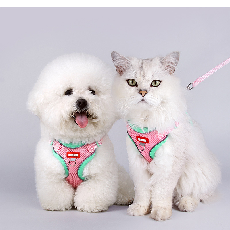 ペット用ハーネスとリードセット 犬用 猫 リード 散歩用 通気性