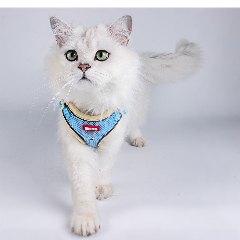 ペット用ハーネスとリードセット 犬用 猫 リード 散歩用 通気性 メッシュタイプ H型ハーネス 小型犬 中型犬 ワンコ 超軽量 洗える S M L XL 着脱簡単 カワイイ |  | 22