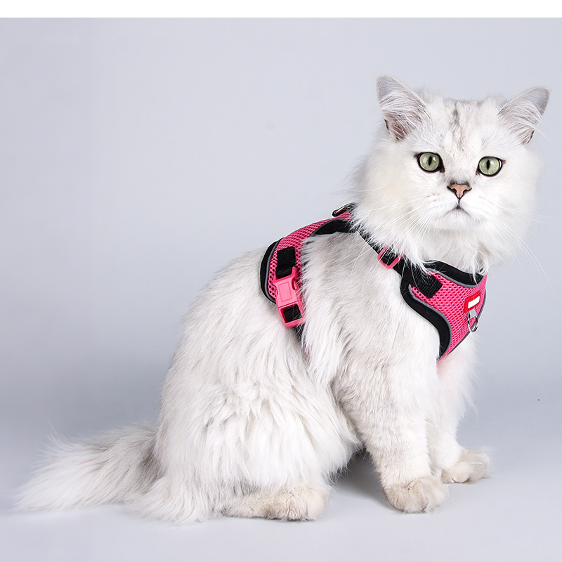 ペット用ハーネスとリードセット 犬用 猫 リード 散歩用 通気性 メッシュタイプ H型ハーネス 小型犬 中型犬 ワンコ 超軽量 洗える S M L XL 着脱簡単 カワイイ |  | 23