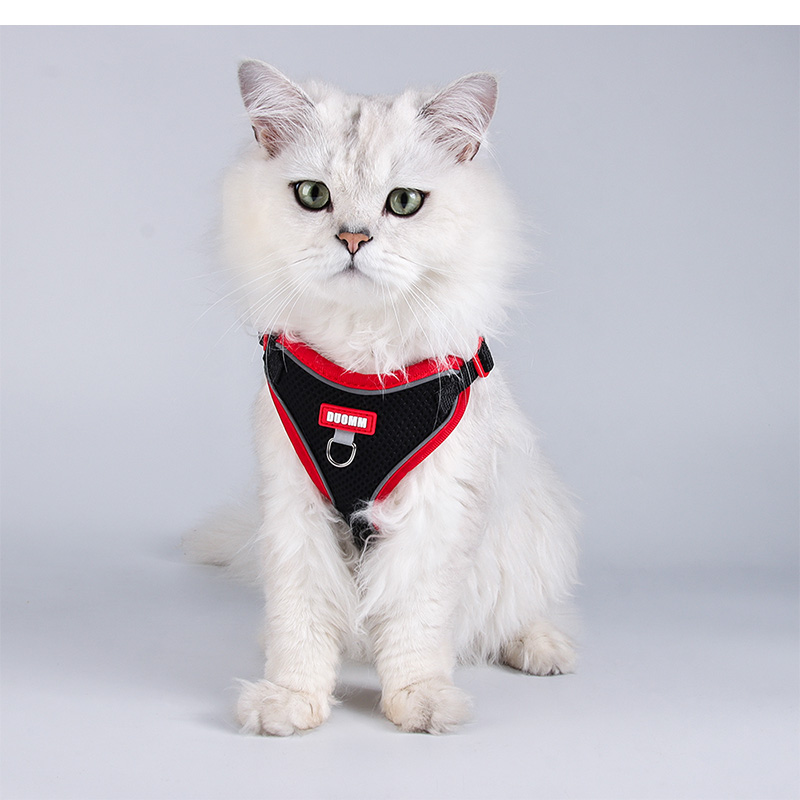 ペット用ハーネスとリードセット 犬用 猫 リード 散歩用 通気性 メッシュタイプ H型ハーネス 小型犬 中型犬 ワンコ 超軽量 洗える S M L XL 着脱簡単 カワイイ |  | 24