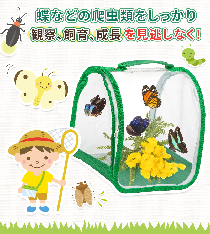 折り畳み虫かご 昆虫ケージ 昆虫飼育箱 虫かご 蝶ケージ 昆虫観察 蝶 爬虫類 折りたたみケージ 飼育ケース 軽量 通気性 ネット メッシュ 透明 繁殖 |  | 02