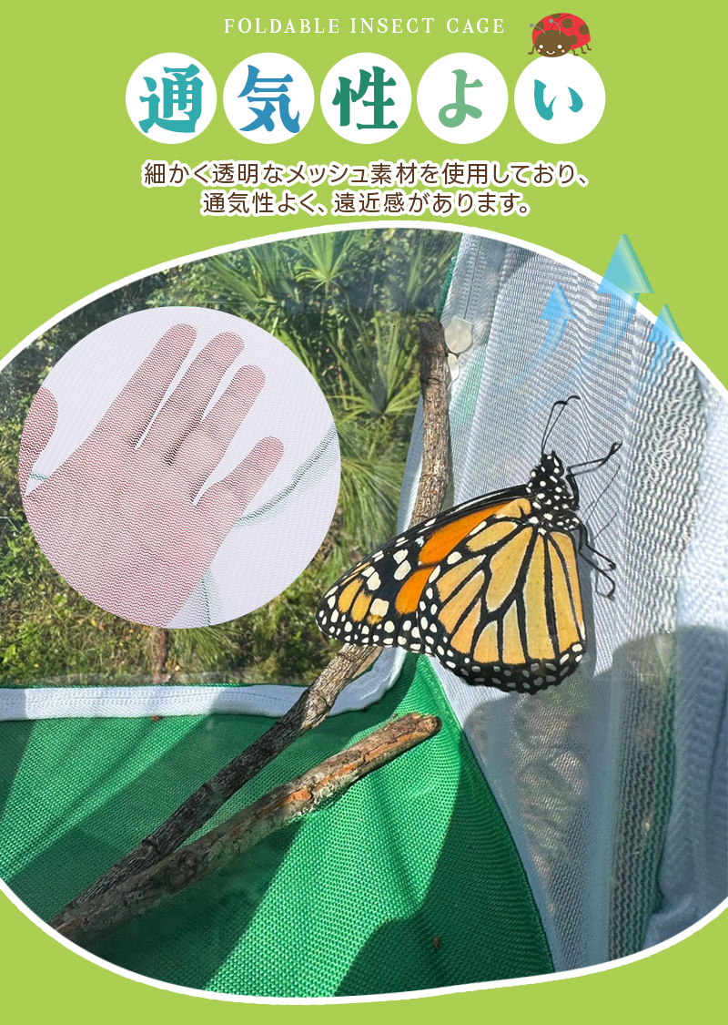折り畳み虫かご 昆虫ケージ 昆虫飼育箱 虫かご 蝶ケージ 昆虫観察 蝶 爬虫類 折りたたみケージ 飼育ケース 軽量 通気性 ネット メッシュ 透明 繁殖 |  | 05