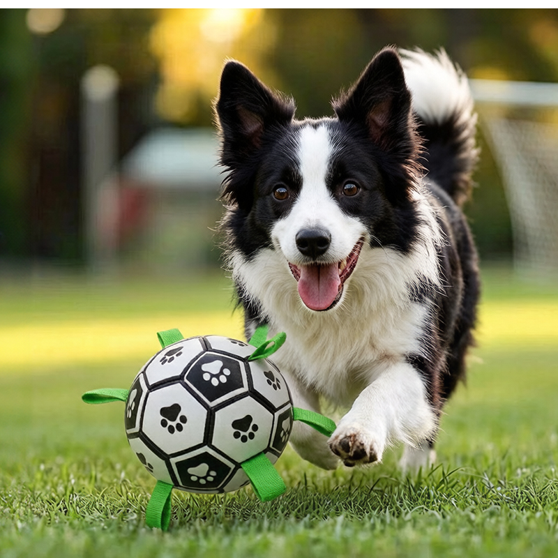 犬用サッカーボール 犬用おもちゃ 犬 おもちゃ オモチャ 空気入れ付き 運動不足やストレス解消に 犬用ボール 超耐久 TPUコーティング 噛み癖解消 安心安全素材 |  | 13