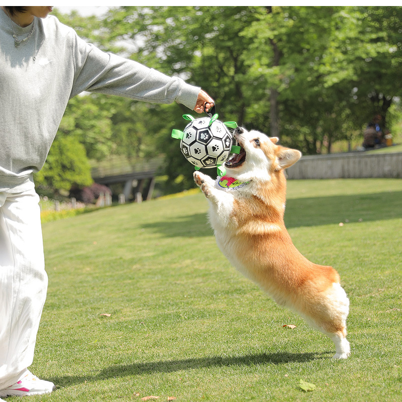 犬用サッカーボール 犬用おもちゃ 犬 おもちゃ オモチャ 空気入れ付き 運動不足やストレス解消に 犬用ボール 超耐久 TPUコーティング 噛み癖解消 安心安全素材 |  | 14