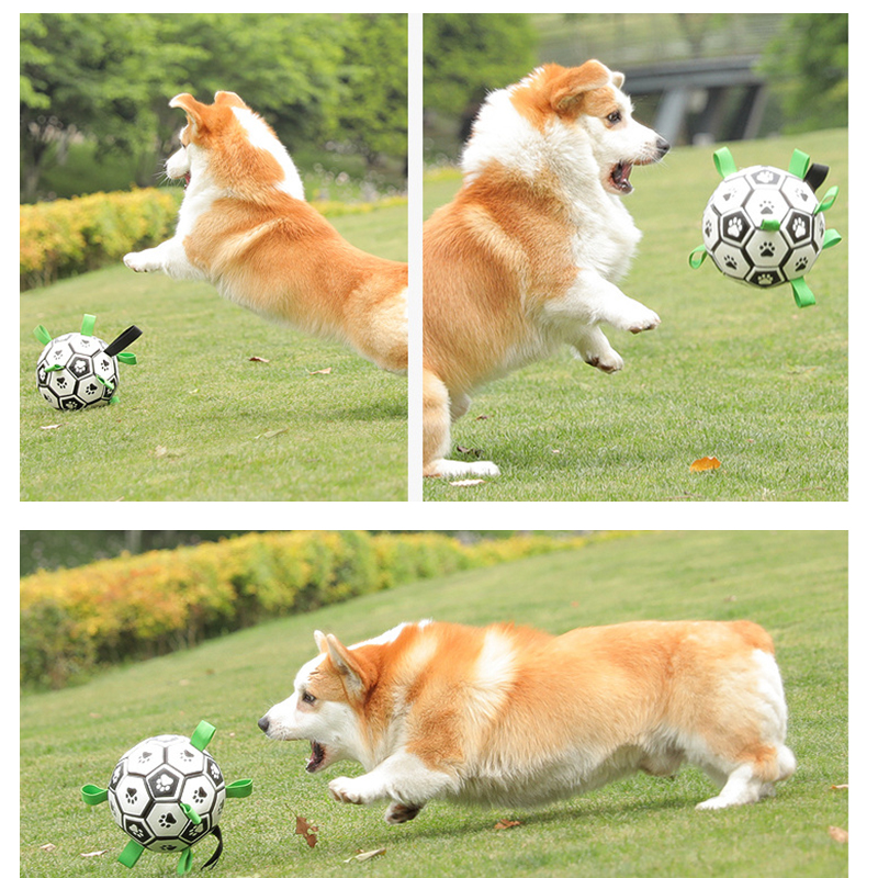 犬用サッカーボール 犬用おもちゃ 犬 おもちゃ オモチャ 空気入れ付き 運動不足やストレス解消に 犬用ボール 超耐久 TPUコーティング 噛み癖解消 安心安全素材 |  | 15