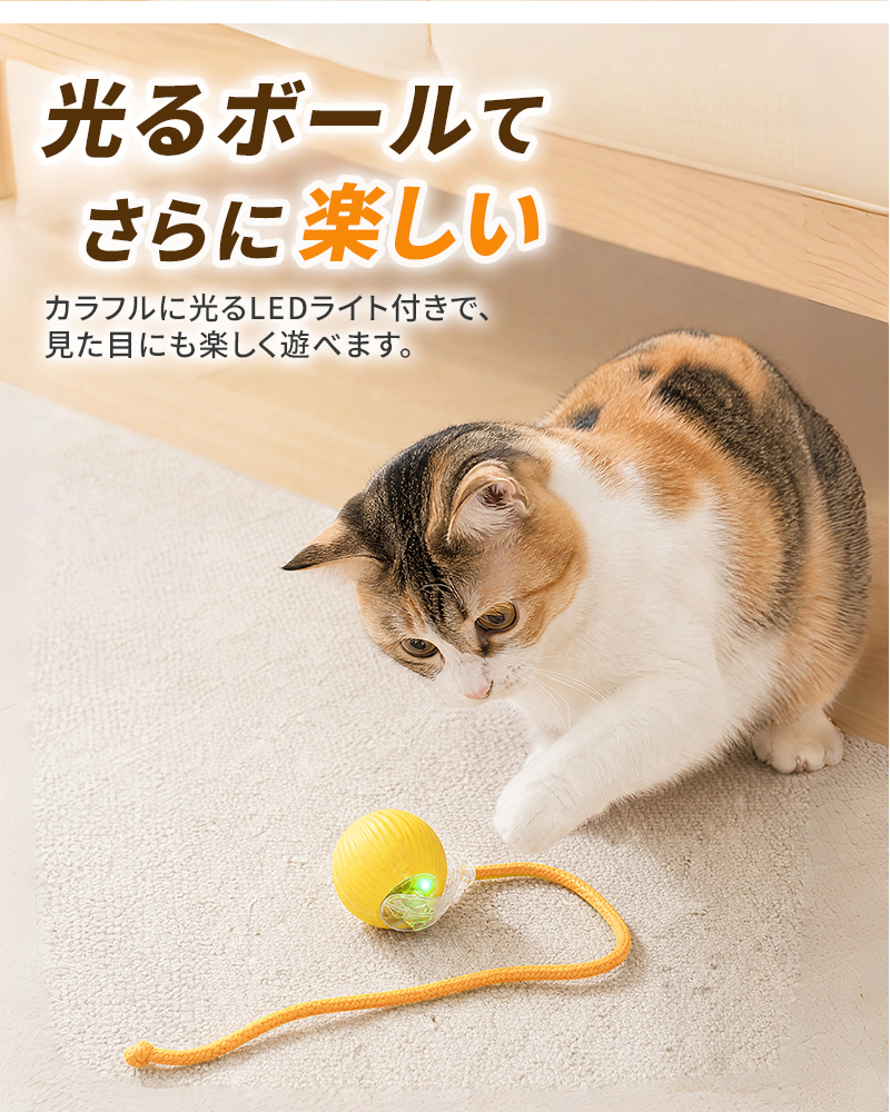 電動おもちゃ 猫のおもちゃ 猫じゃらし 電動 ボール 自動 飽きない ボール 光る 障害物回避 自動回転 3モード 猫 人気 静音設計 自動ローリング USB充電式 |  | 12
