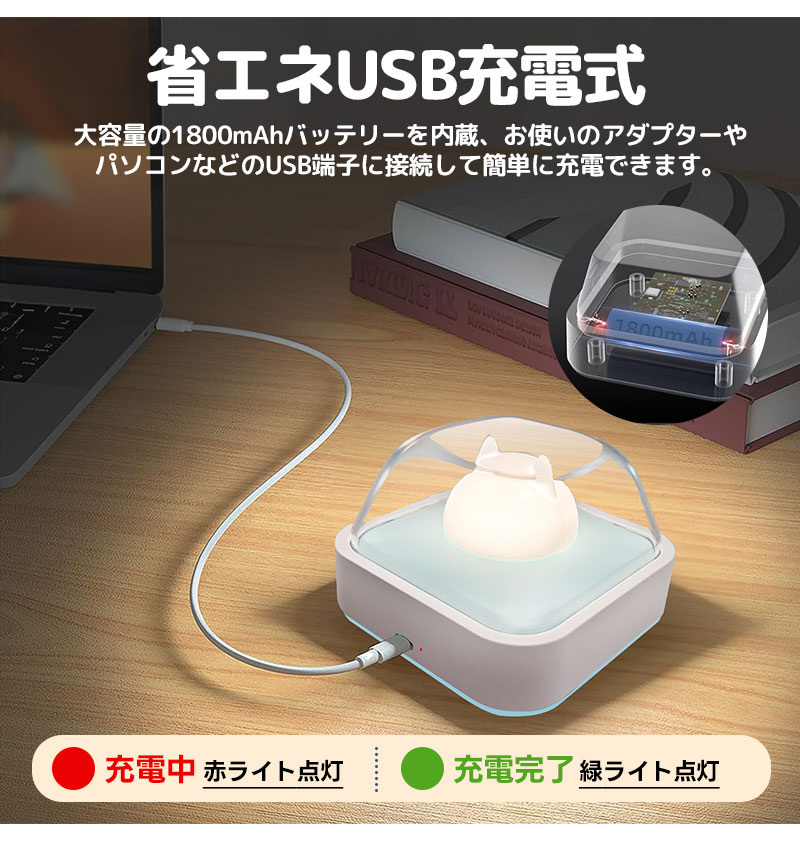 ナイトライト ABS