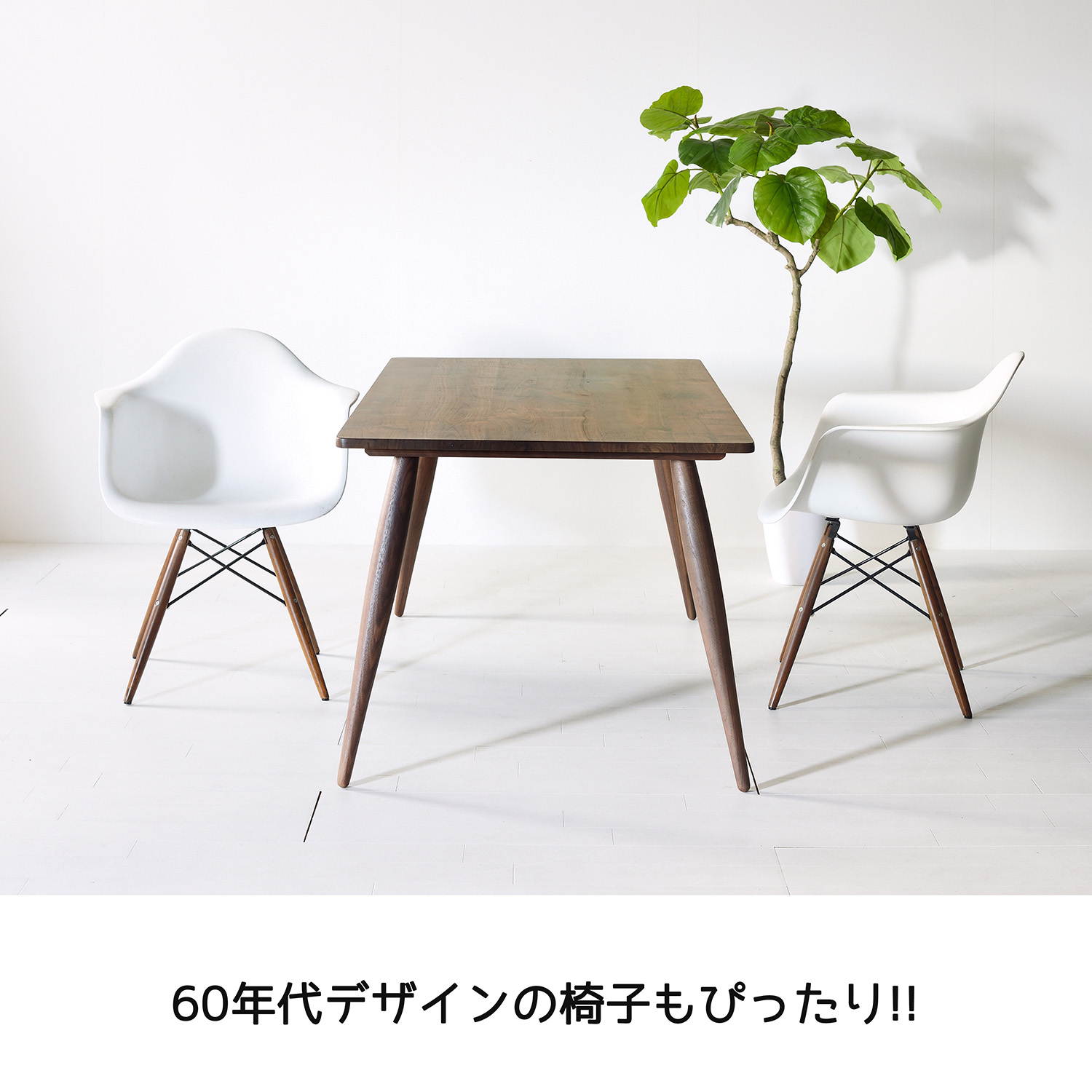 n02.jpg