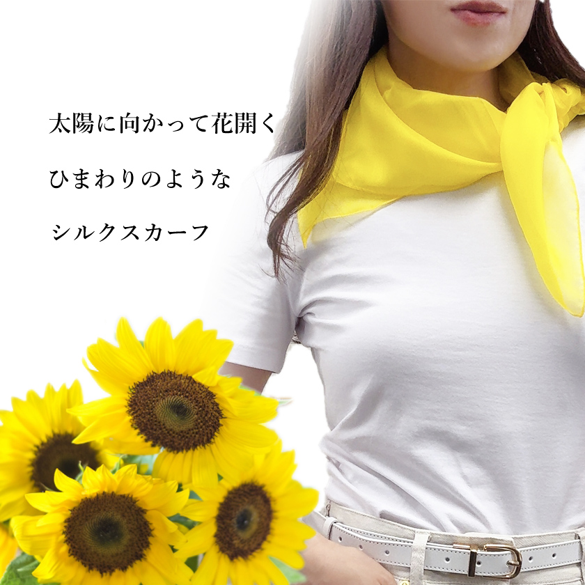 Instyle Japan（インスタイルジャパン） シルクスカーフ シフォン