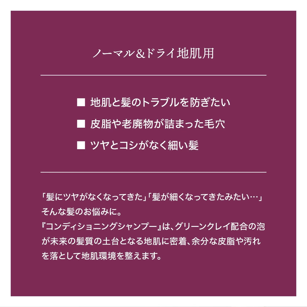 【セット】アルジタル　コンディショニングシャンプー 250ml ×2本セット | ARGITAL | 03