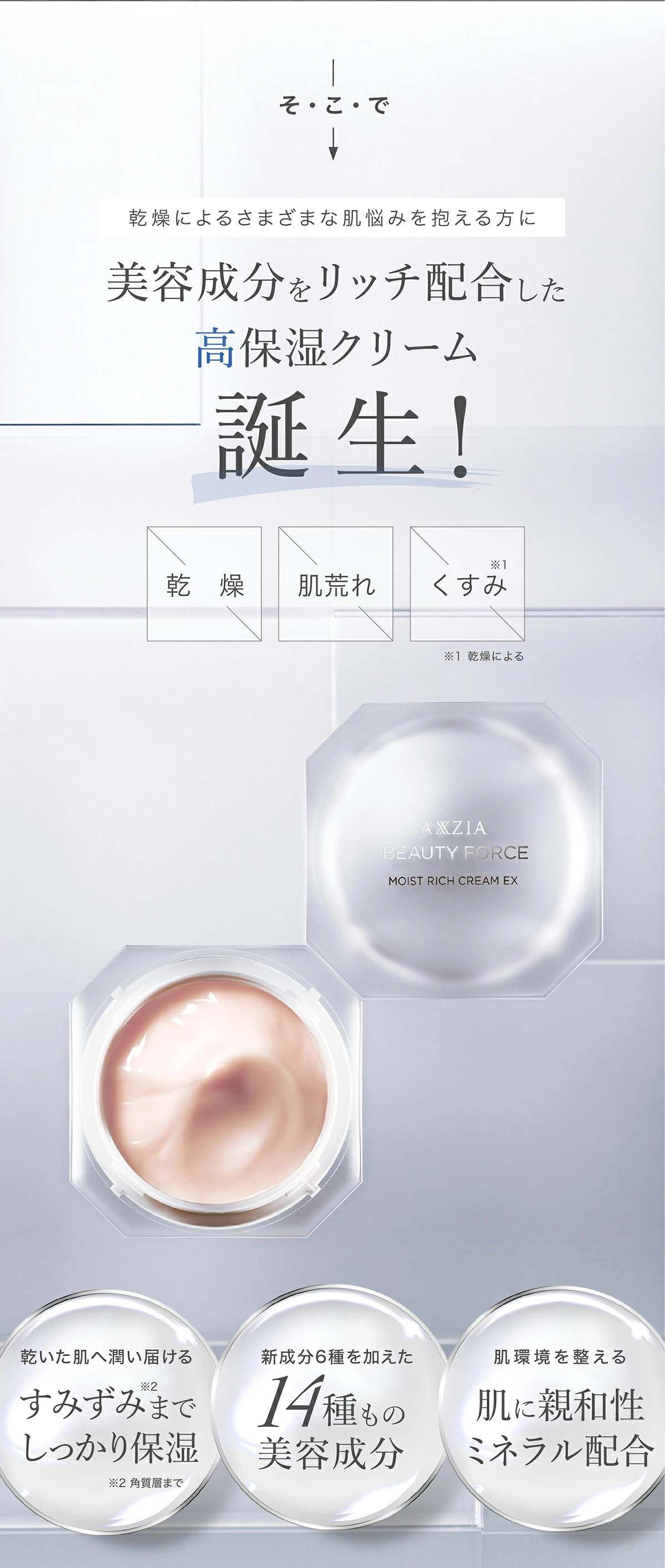 アクシージア ビューティーフォース モイストリッチクリーム EX 30g アクシージア ビューティーフォース モイストリッチクリームEX