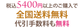 LNC ブライトニングソープ　100g LNCソープ 石鹸 せっけん 洗顔石鹸  株式会社日本生物製剤