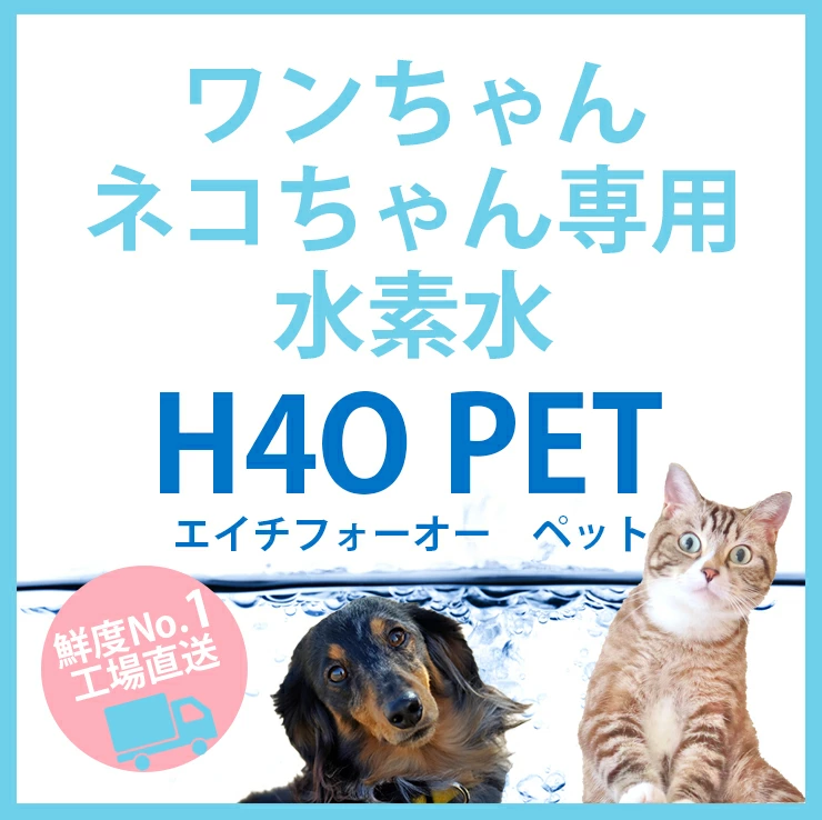 ＜新鮮！工場直送＞H4O　PET ペットサイエンスウォーター 100ml×30本セット（月〜木14時までのご決済完了分を当日出荷　※金土日・祝日は翌営業日出荷）_6