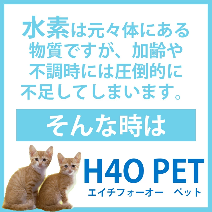 ＜新鮮！工場直送＞H4O　PET ペットサイエンスウォーター 100ml×30本セット（月〜木14時までのご決済完了分を当日出荷　※金土日・祝日は翌営業日出荷）_9