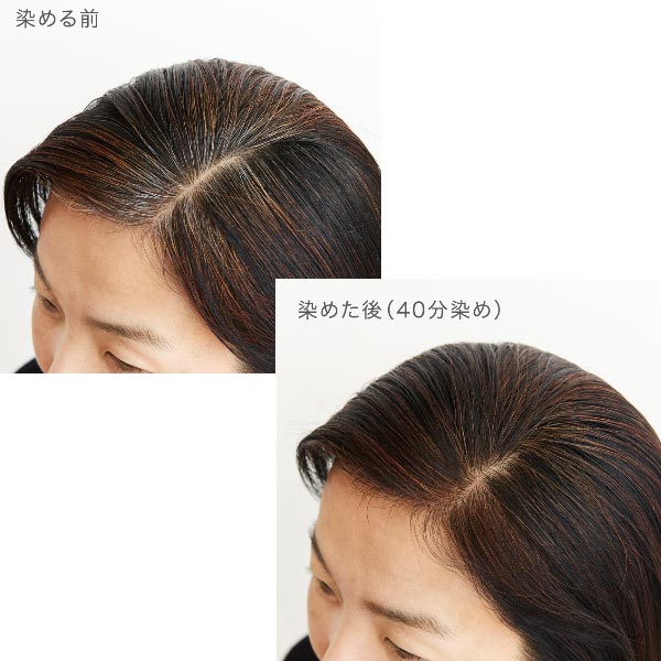 セット】ナイアード(naiad) ヘナ+木藍 茶 No.3 徳用400g×2箱 白髪染め ヘアカラー ヘアトリートメント モクラン インディゴ  植物100％ NAIAD HENNA INDIGO : naiad-hmr4002set : インタークリスティーヌ - 通販 -  Yahoo!ショッピング