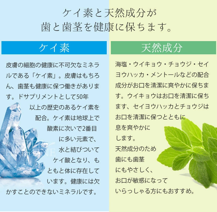 シリシア 歯磨き 50ml ドイツ製ケイ素 ※チューブ容器がやや太めになり