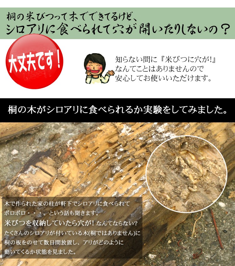 白アリ１