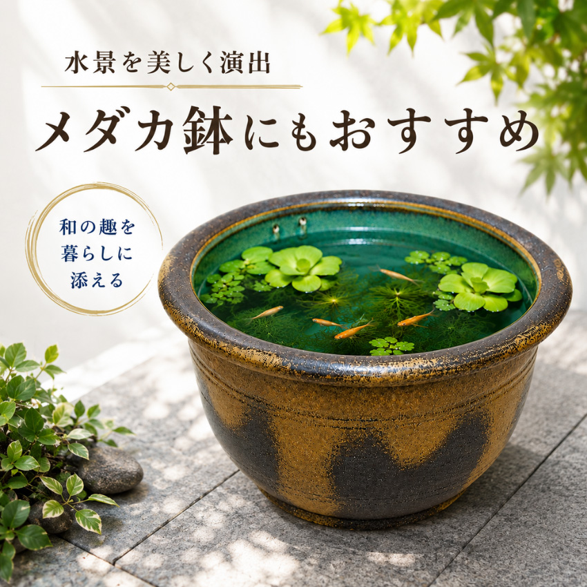 2026-kamahada-kushime-top.jpg