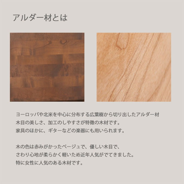レール付き