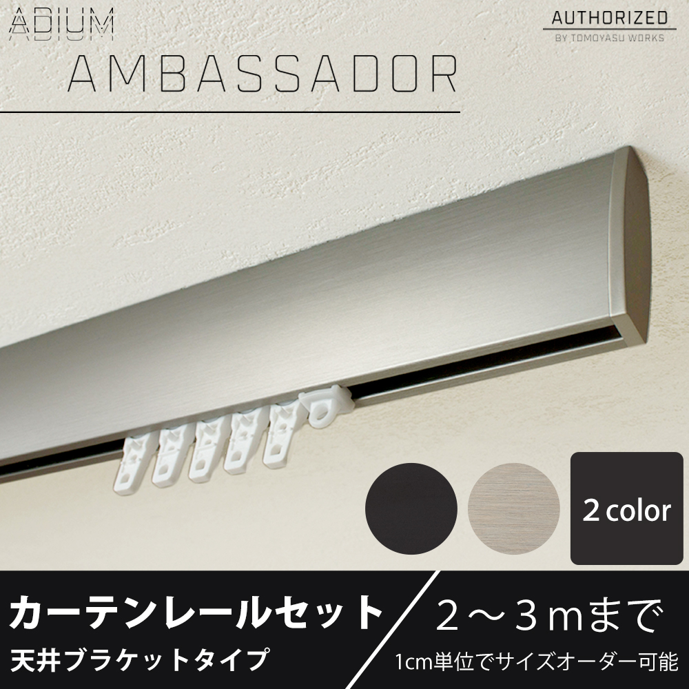 カーテンレール 天井付けセット アイアン ADIUMシリーズAMBASSADOR アンバサダー 201cm〜300cm オーダー H-N-0