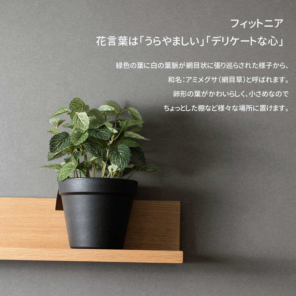 人工観葉植物 フィットニア 18cm フェイクグリーン 造花 光触媒