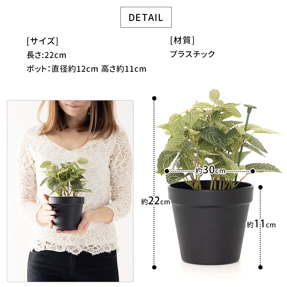 フェイクグリーン フィットニア - 花と緑の店 green green