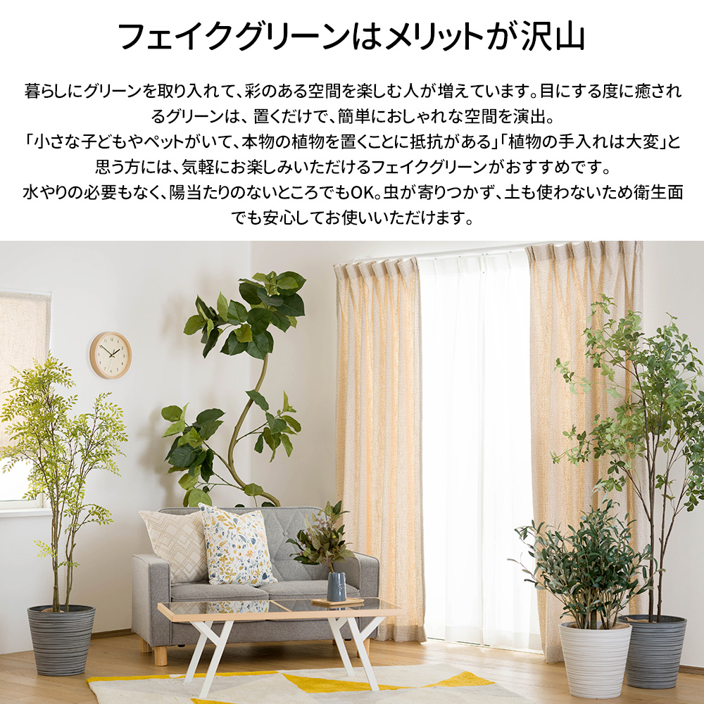 フェイクグリーン 大型 2m フィカス ウンベラータ 観葉植物 リアル 