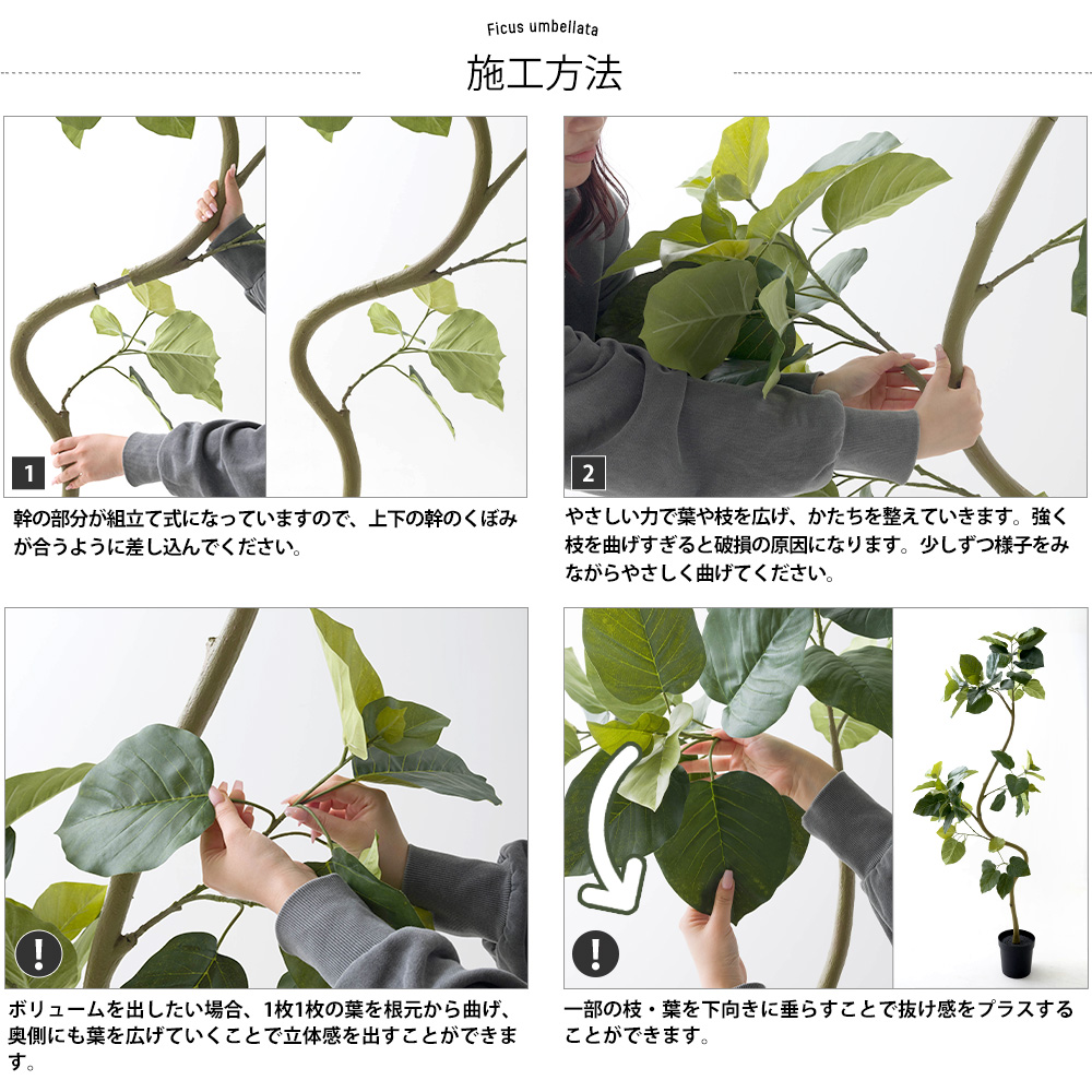 フェイクグリーン 大型 2m フィカス ウンベラータ 観葉植物 リアル