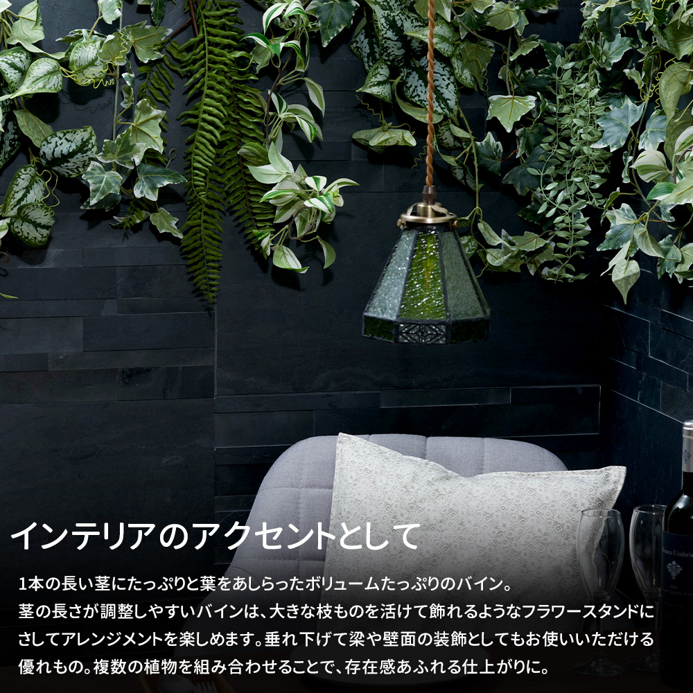 壁掛け 植物 シダ植物の商品一覧 通販 - Yahoo!ショッピング
