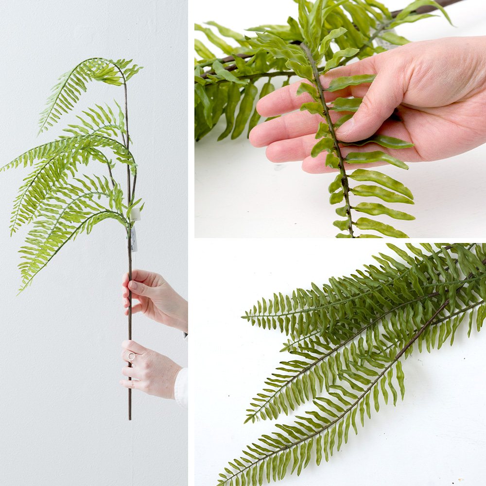 壁掛け 植物 シダ植物の商品一覧 通販 - Yahoo!ショッピング