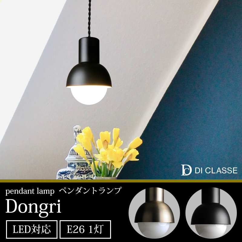 DI CLASSE（ディクラッセ） ドングリ ペンダントランプ JQ : DIY