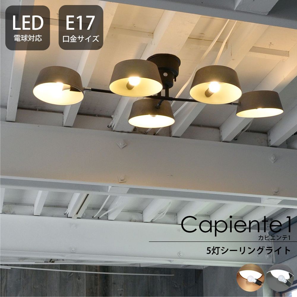 照明器具 おしゃれ シーリングライト 5灯 LED 天井 Capiente1