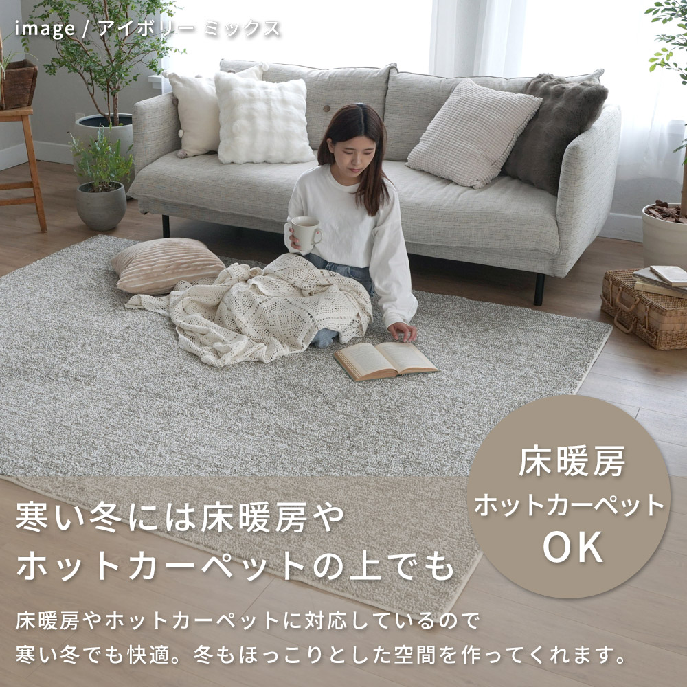 スミノエ ラグ カーペット ラグマット 洗える 抗菌 防臭 防ダニ
