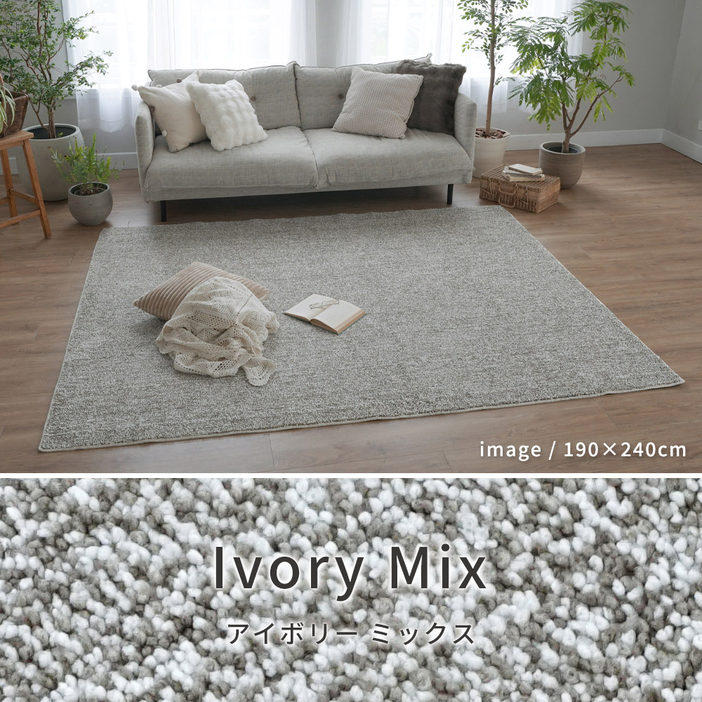 スミノエ ラグ カーペット ラグマット 洗える 抗菌 防臭 防ダニ