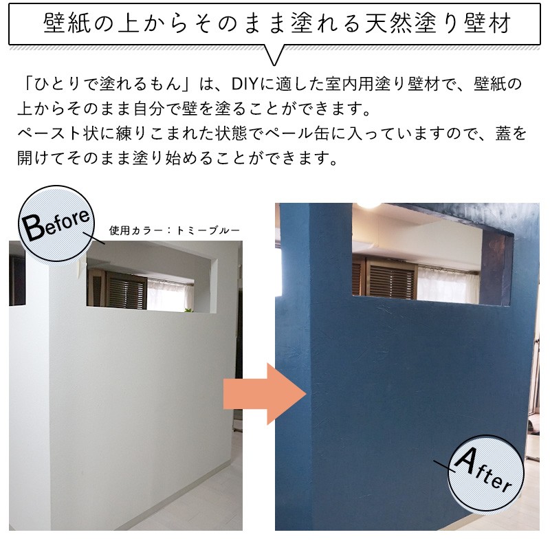 ひとりで塗れるもん 漆喰 壁材 塗り壁 DIY